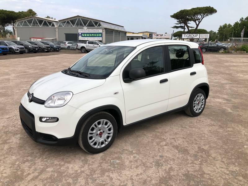 egauto